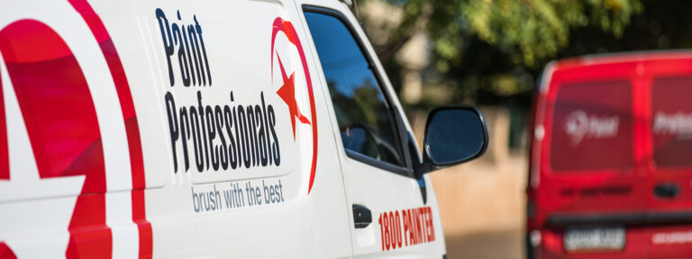 paint professionals franchise national 768x288